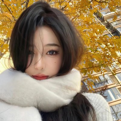 琴谜变奏曲
