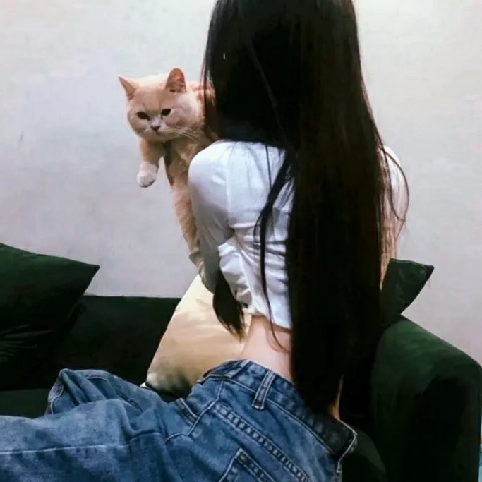 古装权谋
